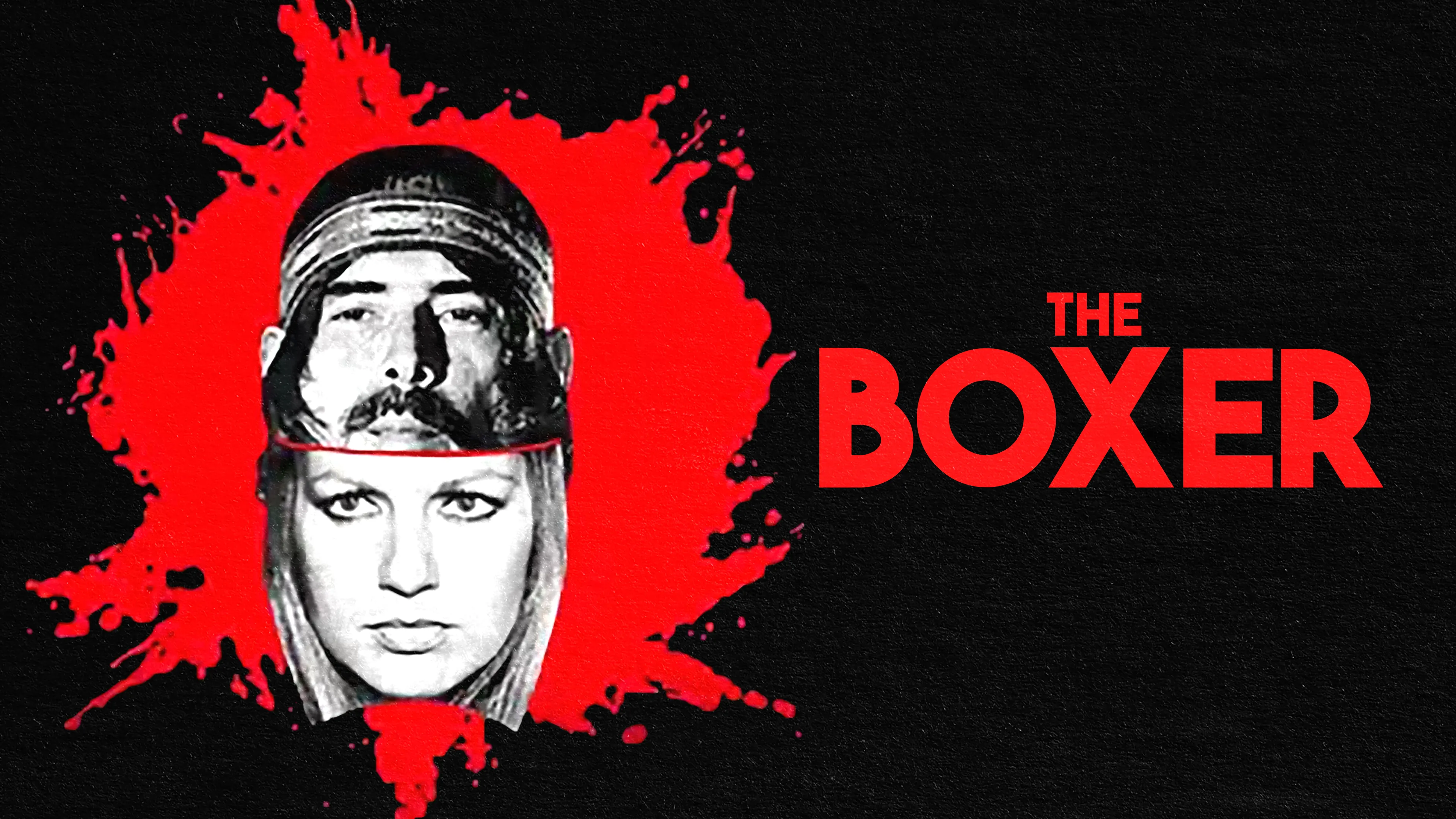 The Boxer poster